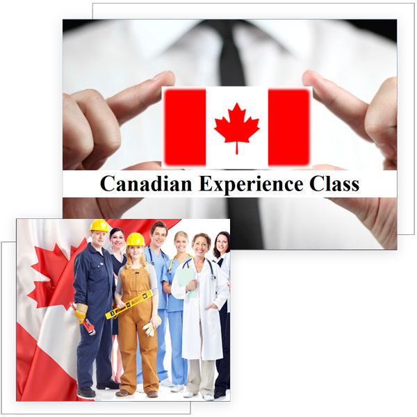 Canadian Experience Class Visa Consultants in Woodstock, Ontario, Canada, India